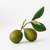 Lime Cluster with Leaf - Pure Apotheca