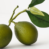 Lime Cluster with Leaf - Pure Apotheca