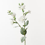 Lisianthus Spray White 76cm - Pure Apotheca