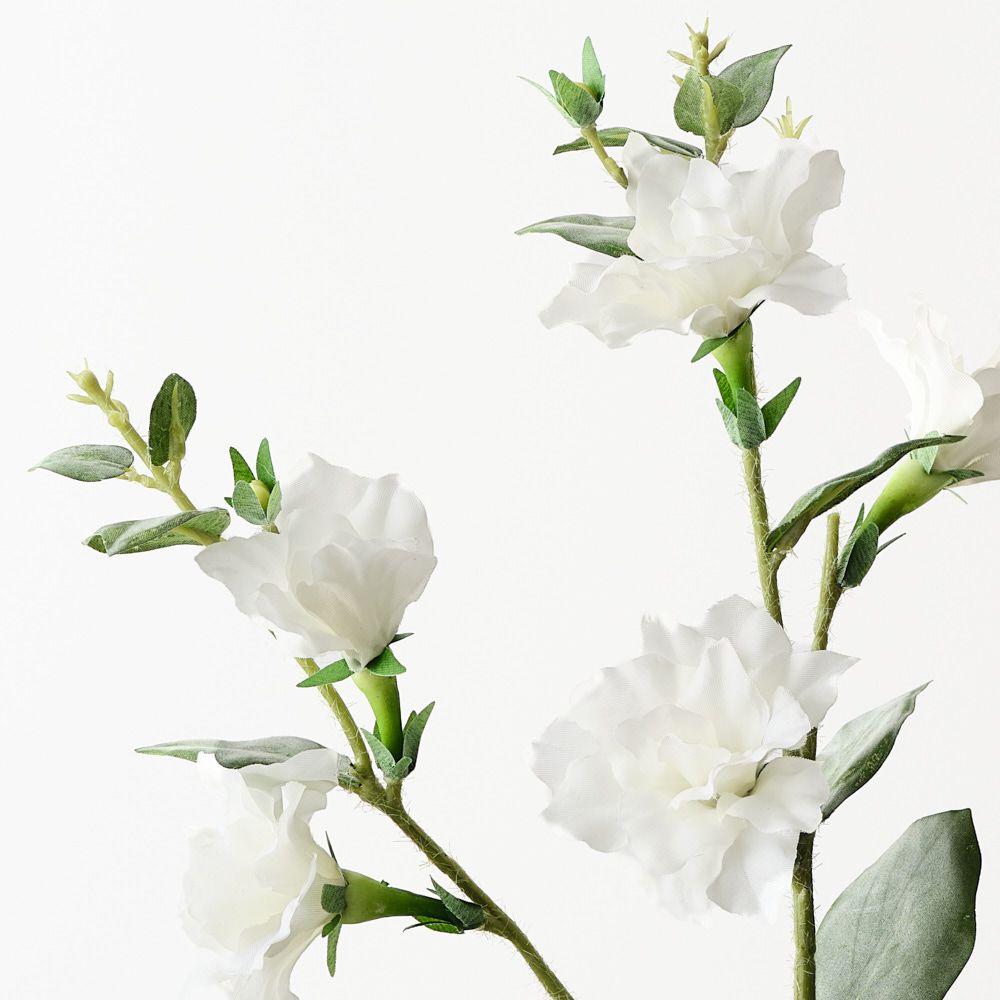 Lisianthus Spray White 76cm - Pure Apotheca
