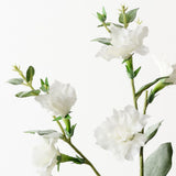 Lisianthus Spray White 76cm - Pure Apotheca