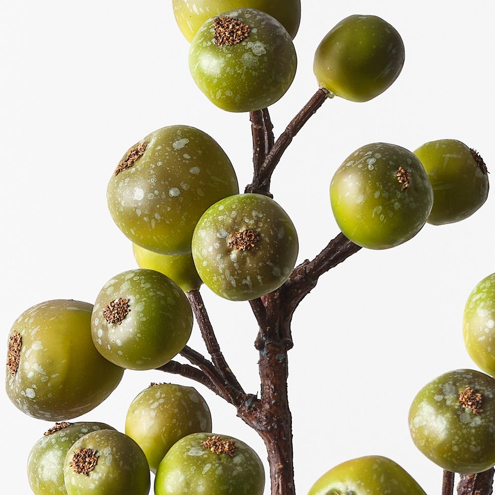 Loquat Spray Olive 59cm - Pure Apotheca
