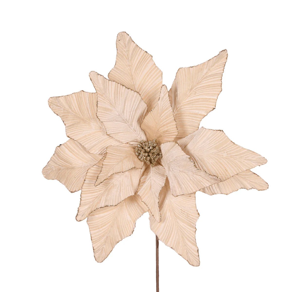 LUXE CHAMPAGNE POINSETTIA - Pure Apotheca