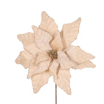 LUXE CHAMPAGNE POINSETTIA - Pure Apotheca