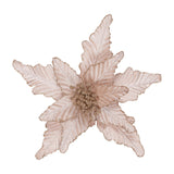 LUXE CHAMPAGNE POINSETTIA CLIP FLOWER - Pure Apotheca