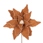 LUXE GINGERBREAD POINSETTIA - Pure Apotheca