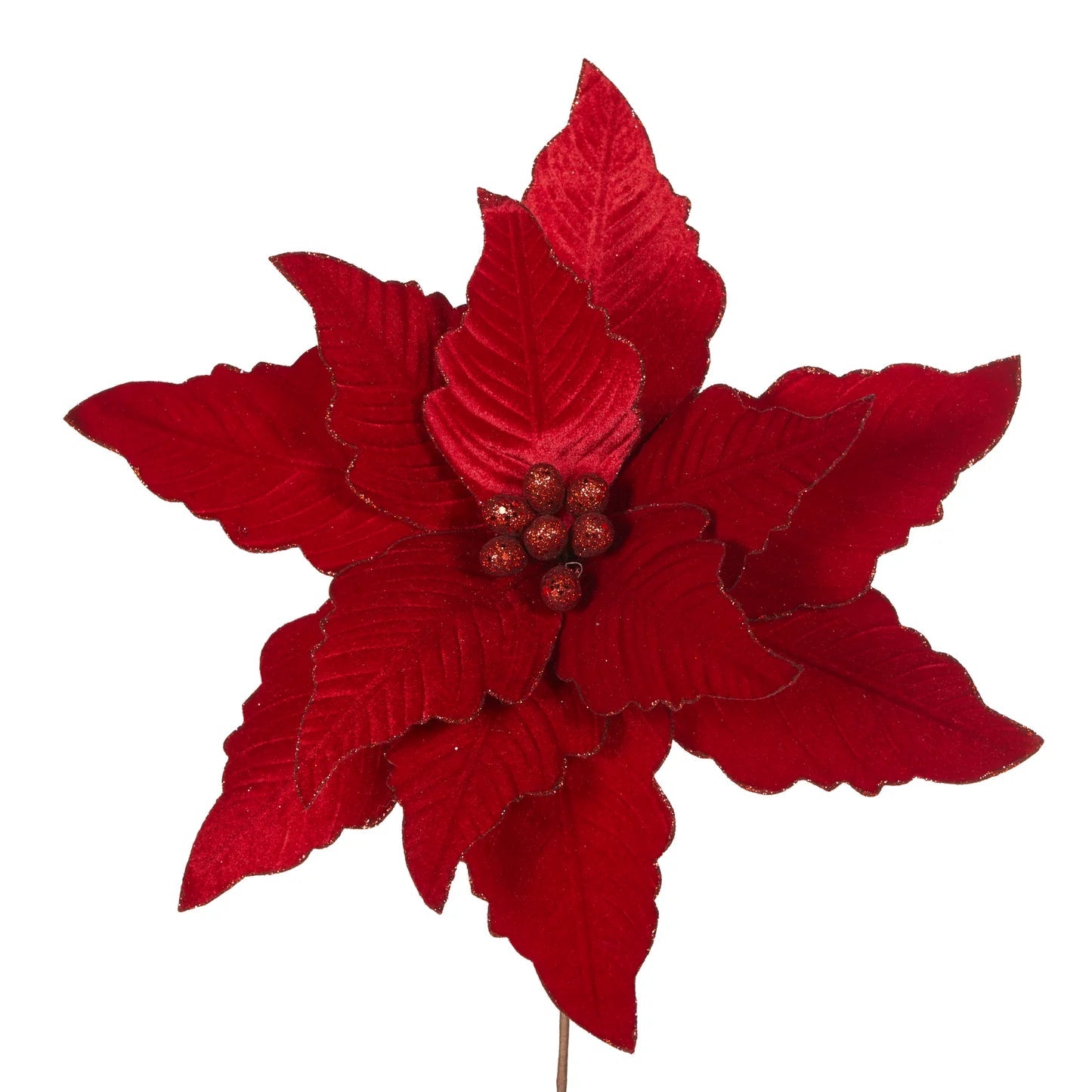 LUXE RED POINSETTIA - Pure Apotheca