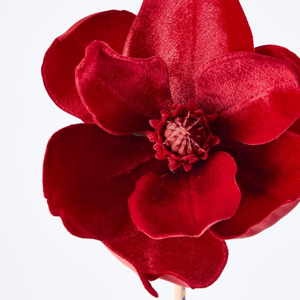 Luxe Velvet Clip On Magnolia Small Red - Pure Apotheca