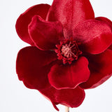 Luxe Velvet Clip On Magnolia Small Red - Pure Apotheca