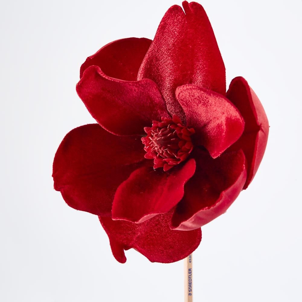 Luxe Velvet Clip On Magnolia Small Red - Pure Apotheca