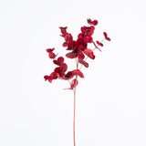 Luxe Velvet Eucalyptus Spray Red - Pure Apotheca