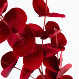 Luxe Velvet Eucalyptus Spray Red - Pure Apotheca