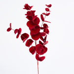 Luxe Velvet Eucalyptus Spray Red - Pure Apotheca