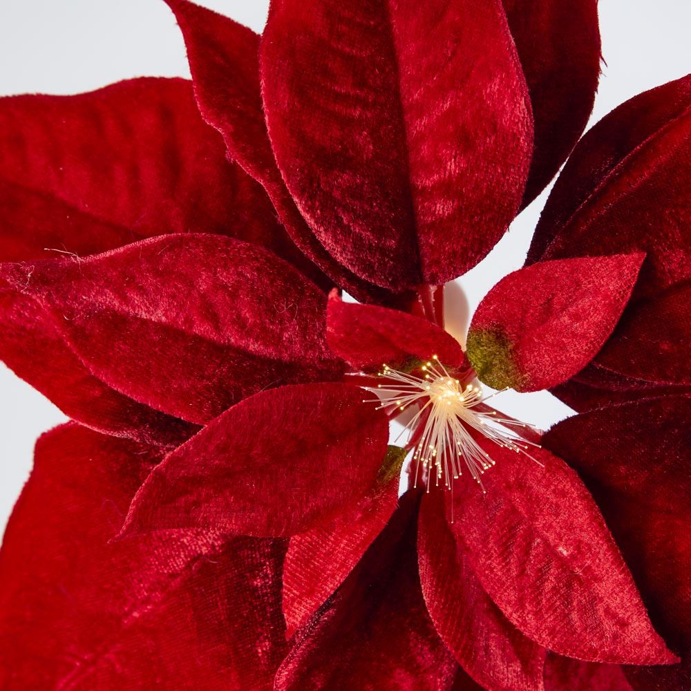 Luxe Velvet Poinsettia Clip on flower with Light Up Stamen Red - Pure Apotheca