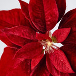 Luxe Velvet Poinsettia Clip on flower with Light Up Stamen Red - Pure Apotheca