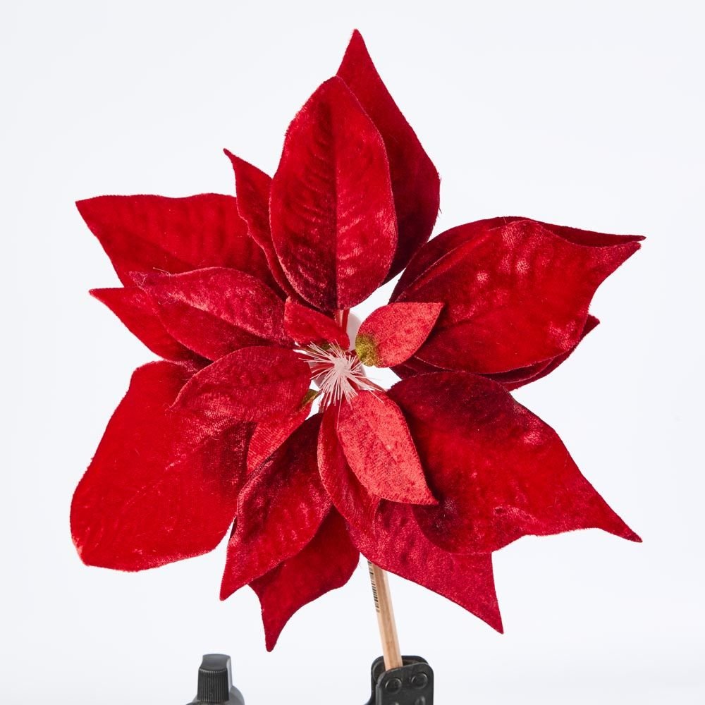 Luxe Velvet Poinsettia Clip on flower with Light Up Stamen Red - Pure Apotheca
