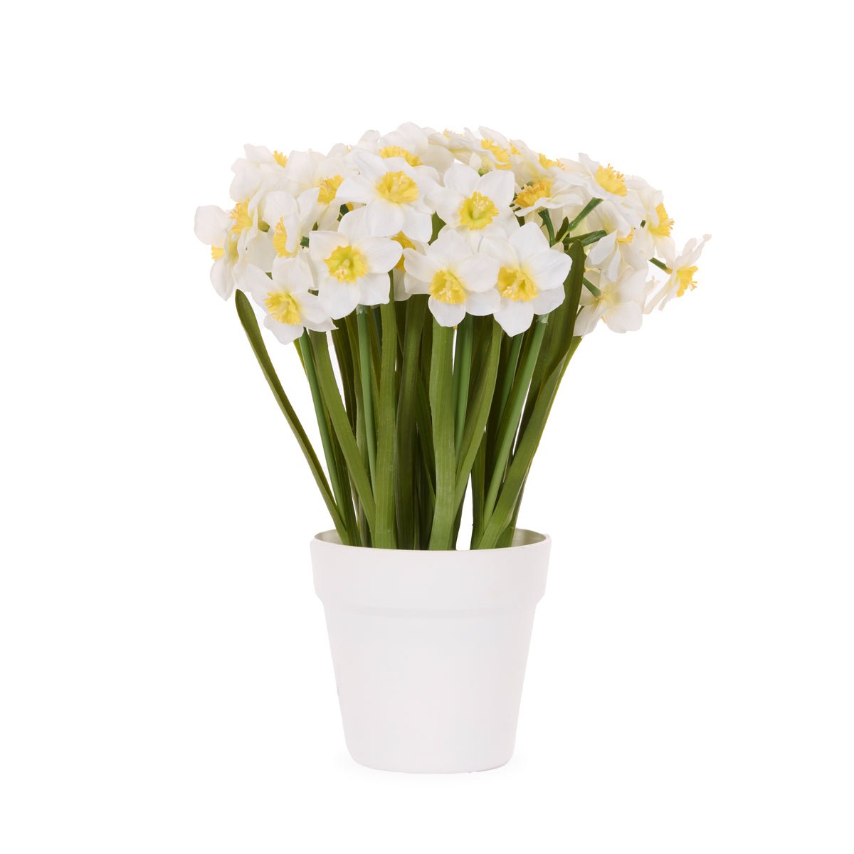 LUXE WHITE JONQUIL POT - Pure Apotheca