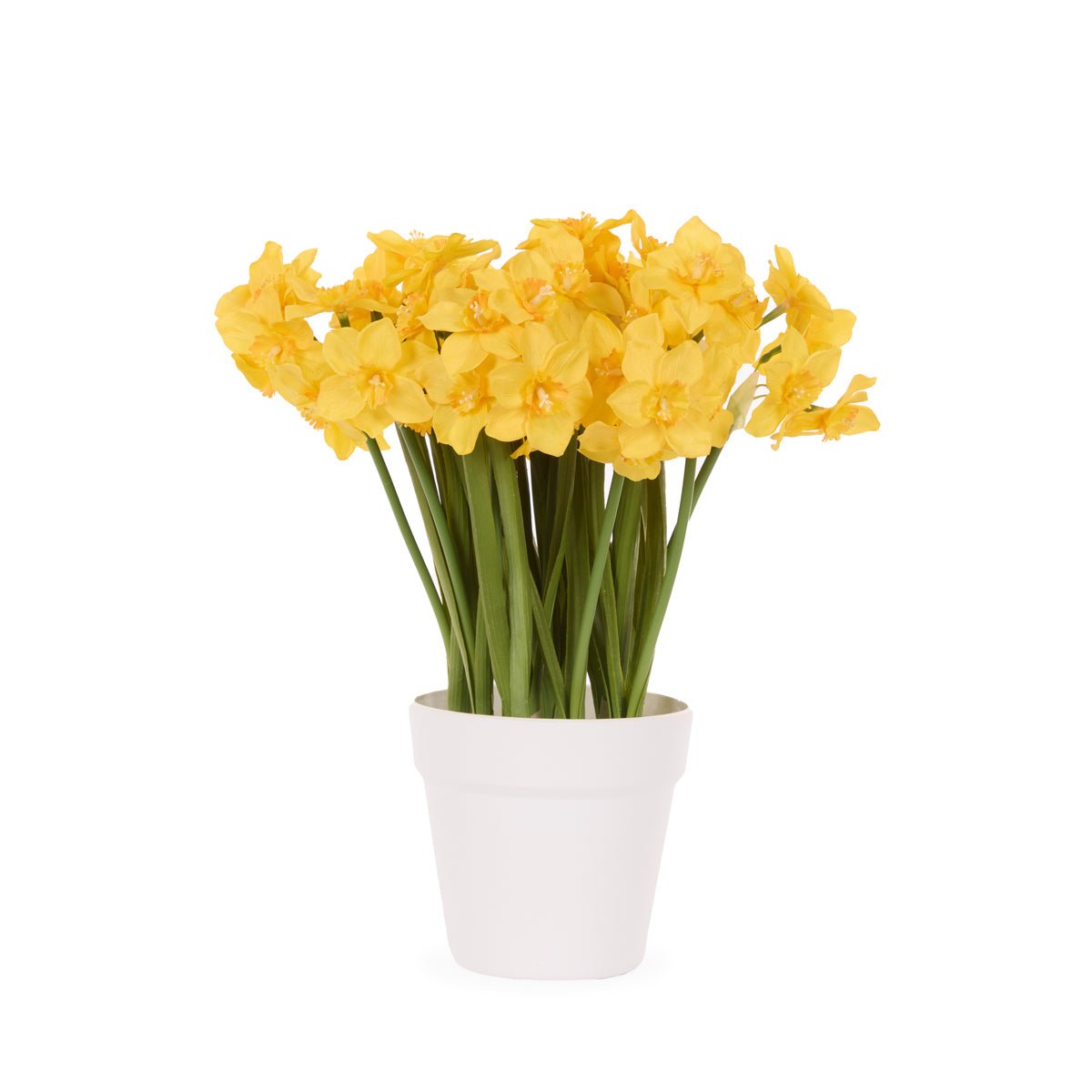 LUXE YELLOW JONQUIL POT - Pure Apotheca