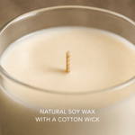 Luxury Handmade Christmas Soy Wax Candle - Enchanted Spice - Pure Apotheca