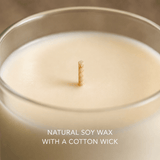 Luxury Handmade Christmas Soy Wax Candle - Enchanted Spice - Pure Apotheca