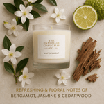 Luxury Handmade Soy Wax Christmas Candle - Winter’s Night - Pure Apotheca