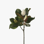 Magnolia Bud & Foliage White 75cm - Pure Apotheca