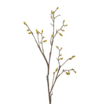 MAGNOLIA BUD STEM - Pure Apotheca