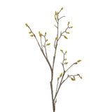 MAGNOLIA BUD STEM - Pure Apotheca