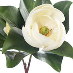 Magnolia Spray White 76cm - Pure Apotheca