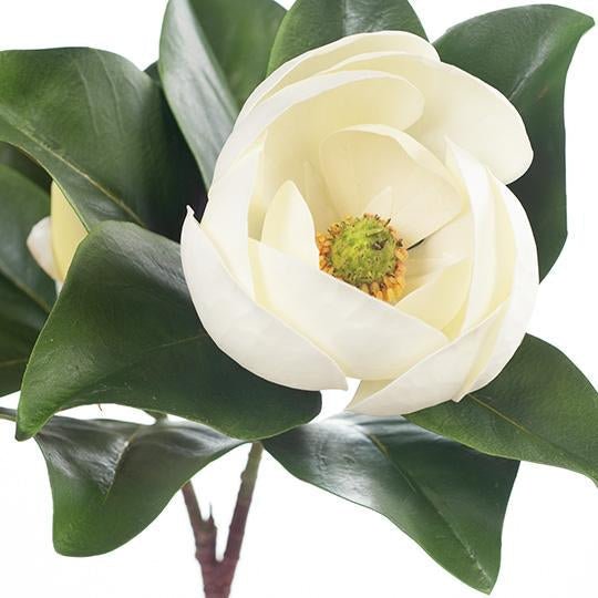 Magnolia Spray White 76cm - Pure Apotheca
