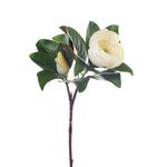 Magnolia Spray White 76cm - Pure Apotheca