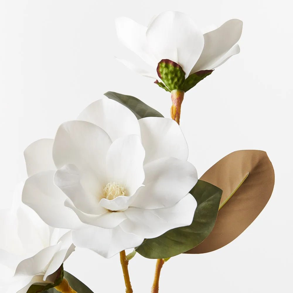 Magnolia Spray White 76cm - Pure Apotheca