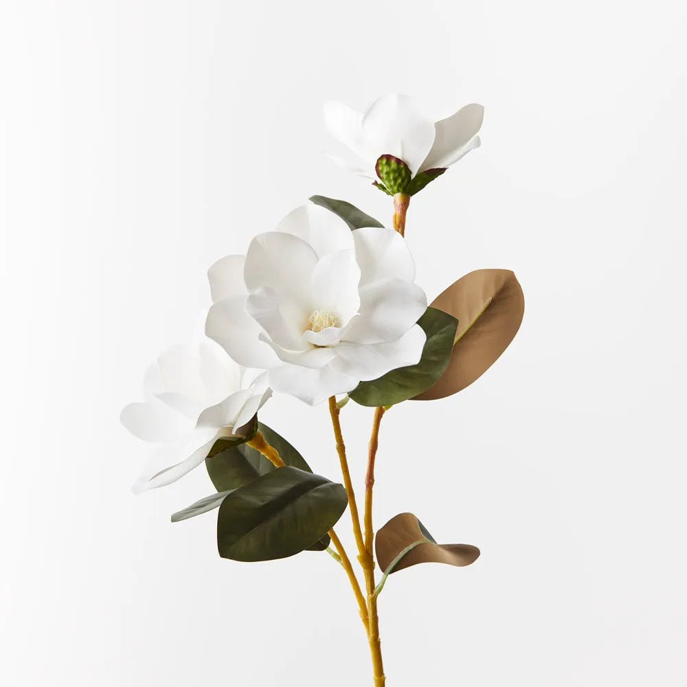 Magnolia Spray White 76cm - Pure Apotheca
