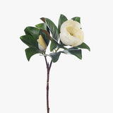 Magnolia Spray White 80cm - Pure Apotheca