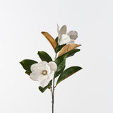 Magnolia Tree Spray White 73cm - Pure Apotheca