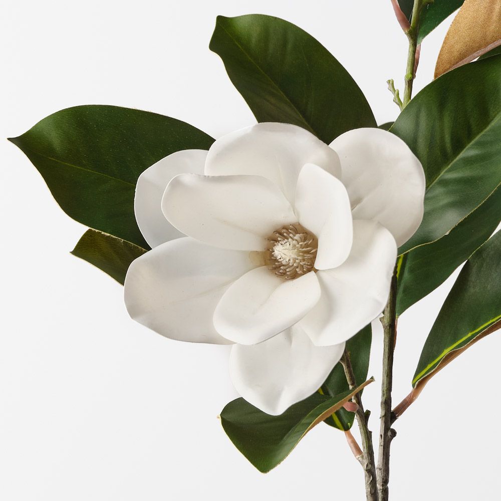 Magnolia Tree Spray White 73cm - Pure Apotheca