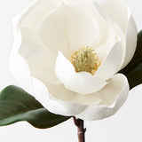 Magnolia White 35cm - Pure Apotheca