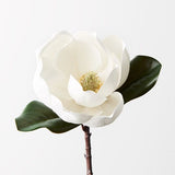 Magnolia White 35cm - Pure Apotheca