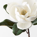 Magnolia White 73cm - Pure Apotheca