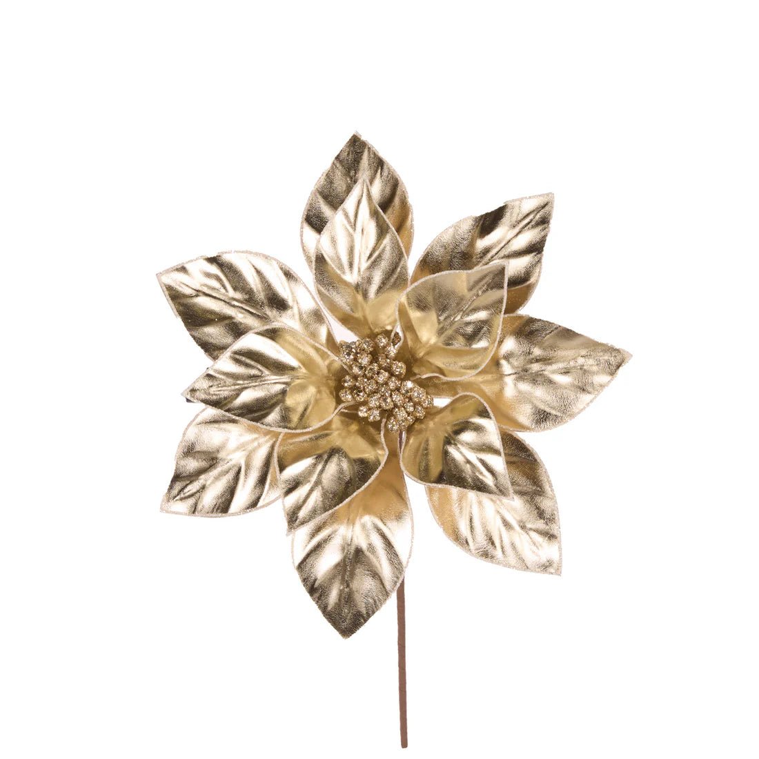 MATTE CHAMPAGNE POINSETTIA - Pure Apotheca