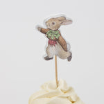 Meri Meri Peter Rabbit in the Garden Cupcake Kit (24pk) - Pure Apotheca