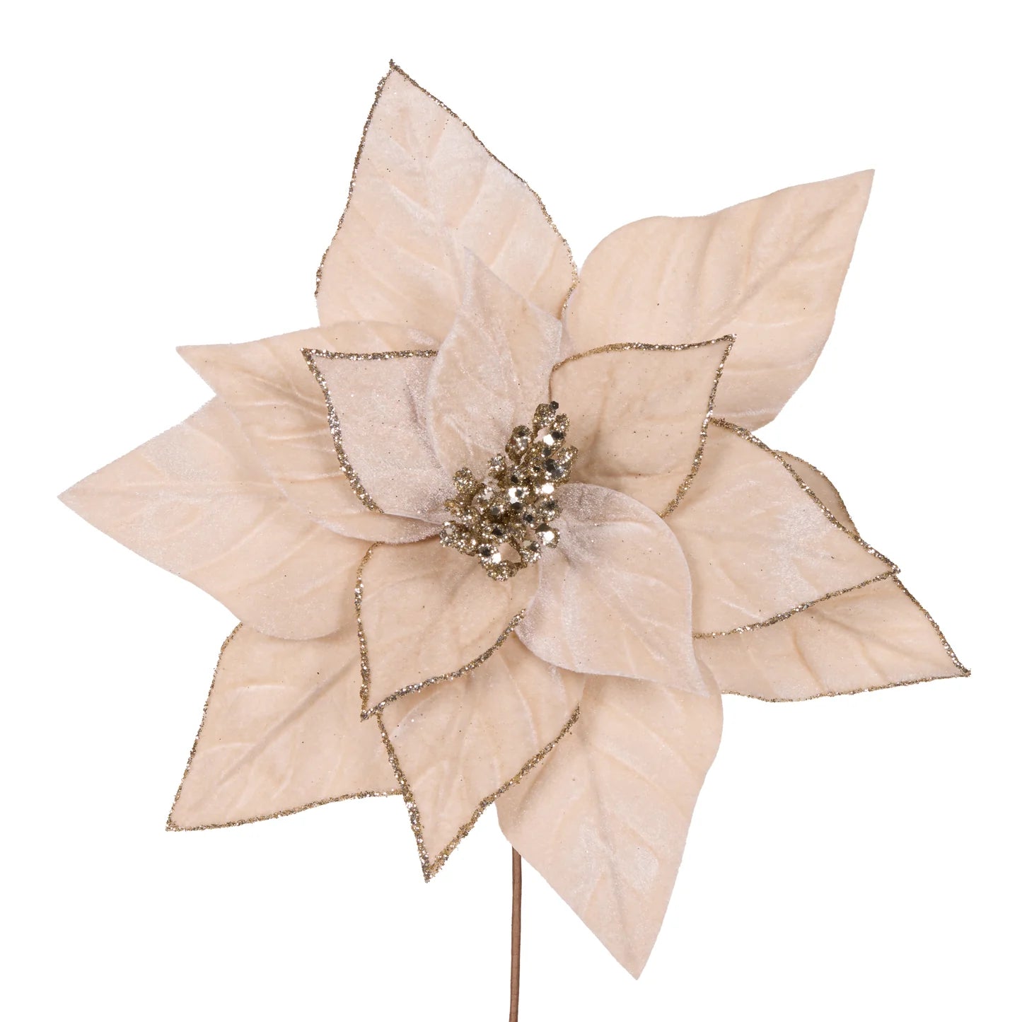 MINIMAL CHAMPAGNE VELOUR POINSETTIA - Pure Apotheca