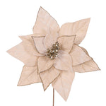 MINIMAL CHAMPAGNE VELOUR POINSETTIA - Pure Apotheca