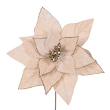 MINIMAL CHAMPAGNE VELOUR POINSETTIA - Pure Apotheca