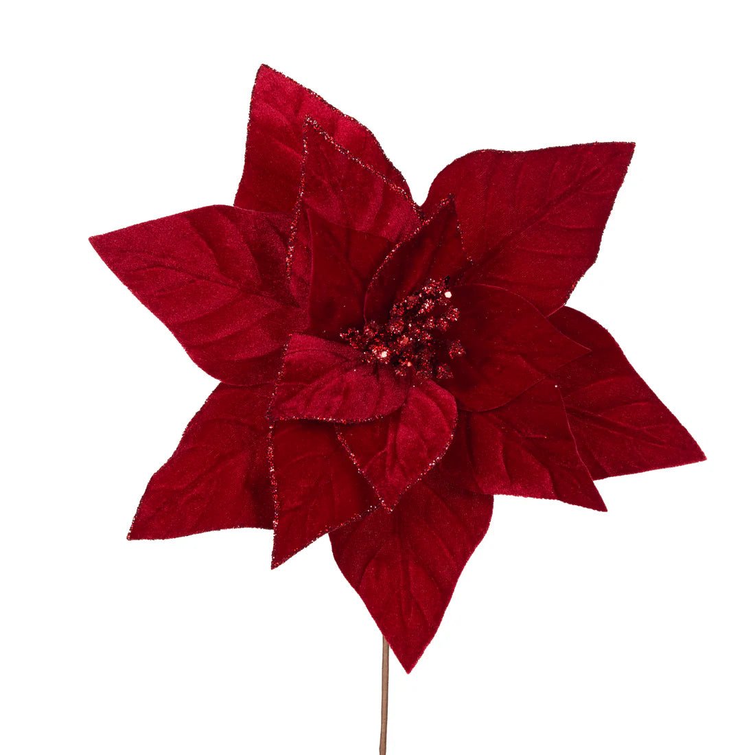 MINIMAL RED VELOUR POINSETTIA - Pure Apotheca