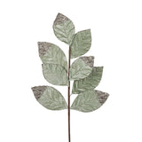 MINT CRYSTALS LEAF PICK - Pure Apotheca