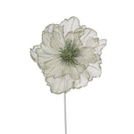 MINT PLATINUM RUFFLE POINSETTIA - Pure Apotheca