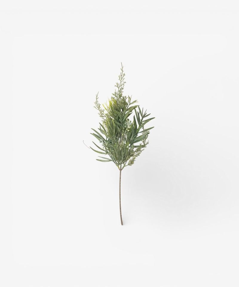 Mixed Silver Green Branch 70cm - Pure Apotheca