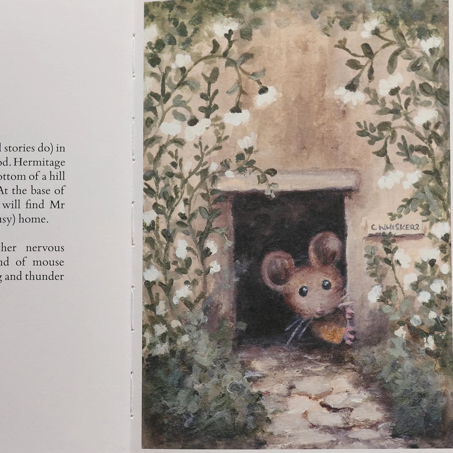 Mr Whiskers Finds His Whiskers - Pure Apotheca
