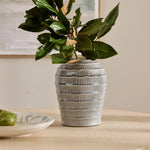 NAUTILUS LIGHT BLUE VASE - Pure Apotheca